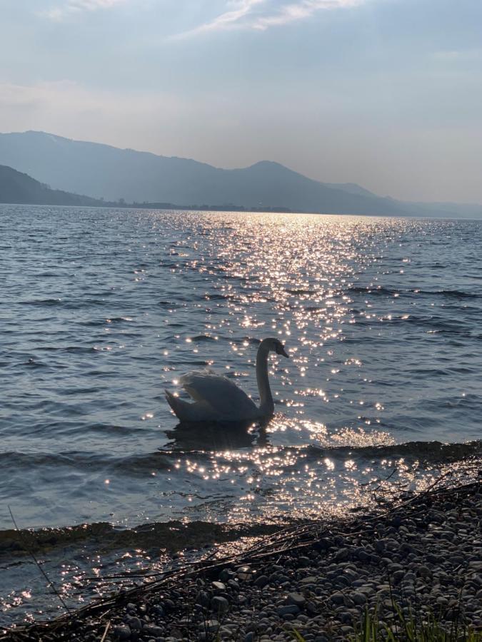 Strandhotel Schmerikon Εξωτερικό φωτογραφία