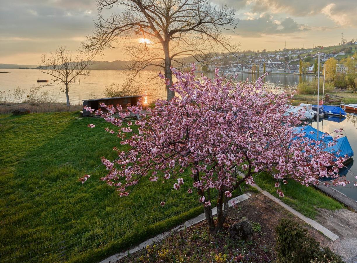 Strandhotel Schmerikon Εξωτερικό φωτογραφία